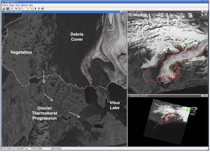 Fig. 5. Surging Bering Glacier System debris-cover.