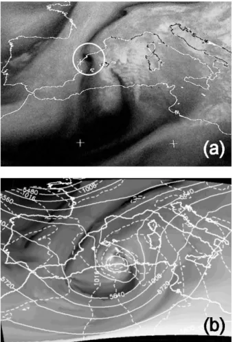 Fig. 7. 0000 UTC 16 November 2000. (a) MET7WV im- im-age. (b) QBOLAM forecast (RUN1) of T75Q field (grayscale), 500 hPa geopotential height (solid line), and mean sea-level  pres-sure (dashed line).