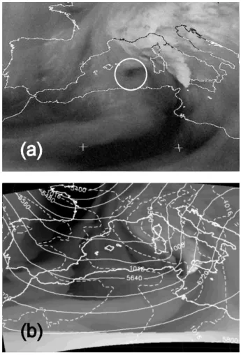 Fig. 9. As in Fig. 7, for 1200 UTC 17 November 2000. (a) MET7WV image. (b) QBOLAM forecast (RUN2)