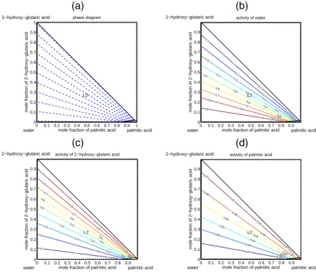 Fig. 5. Construction of the phase diagram for the system water/2-hydroxy-glutaric acid(X1)/palmitic acid(X4) at 298.15 K with tracking of the presence of each distinct phase region