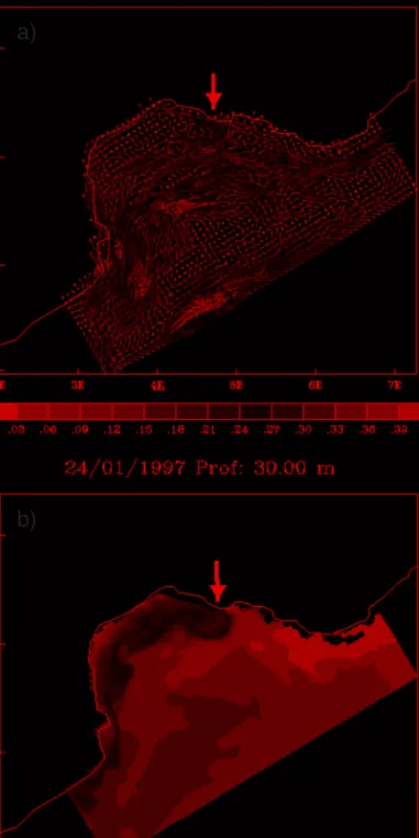 Figure 9. Distribution of the currents in m/s (a), and temperature field in Celsius degrees (b) on the Gulf of Lion, at 30 meter depth on January 24, 1997