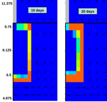 Fig. 11. Portlandite dissolution in the sample calculated after 10 days (left) and 20 days (right)