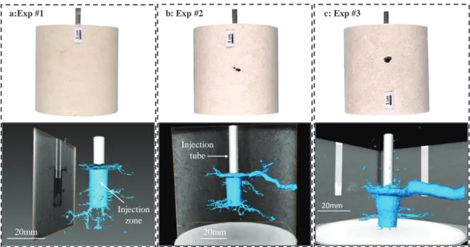 Fig. 5: View of the samples after experiment and after drying for 24h at room temperature (upper part) and comparison of dissolution patterns  (3D models) based on results of X-ray computed tomography (CT) (bottom part) for (a) pure water in equilibrium wi