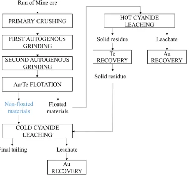 Figure 1: Gold and tellurium extractive metallurgy operation  Note: The non-floated materials marked in blue were used in this study 