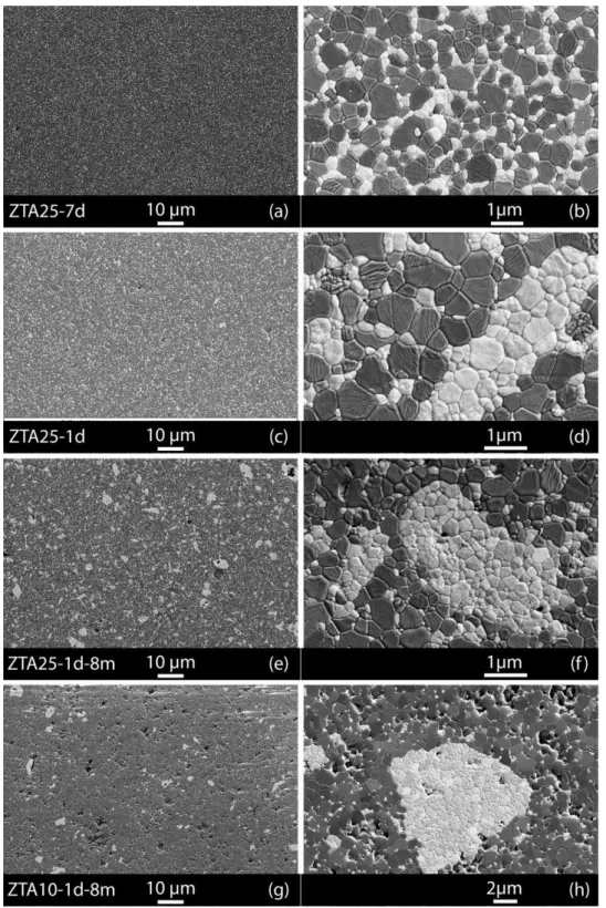Figure 2 shows micrographs of all ZTA specimens. Quantification of their microstructures is  reported in Table 2