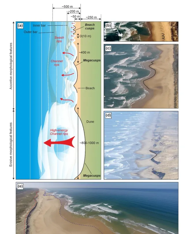Figure 3. Primary morphological patterns controlling the alongshore variability in the beach and the dune along the double-barred sandy coast of  Gironde,  SW  France
