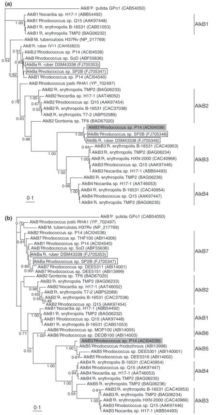 Figure 1 Bayesian trees of 31 (a) and 36 (b) AlkB protein sequences from actinomycetes