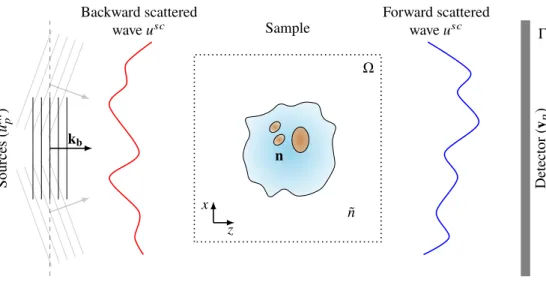 Fig. 1. Optical diffraction tomography setup (intensity-only). A sample with the refractive index n ∈ R M is immersed in a background medium of index ˜ n and impinged by an incident plane wave with a given orientation (wave vector k b )