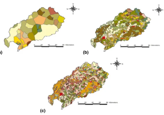 Fig. 9. Mapping of the catchment derived from classical smoothing technique obtained by removing areas lower than (a) 6.4 km 2 , (b) 1.6 km 2 , (c) 1 km 2 .