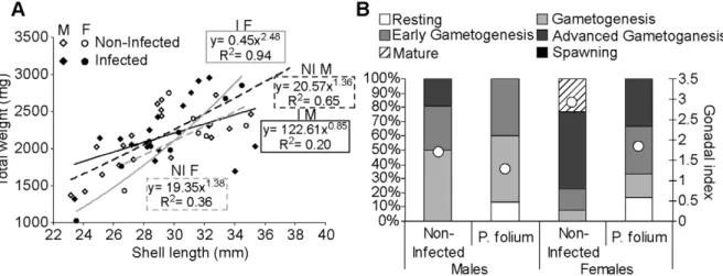 Figure 1. Allometric relationships and Reproductive status of zebra mussels infected or not by P