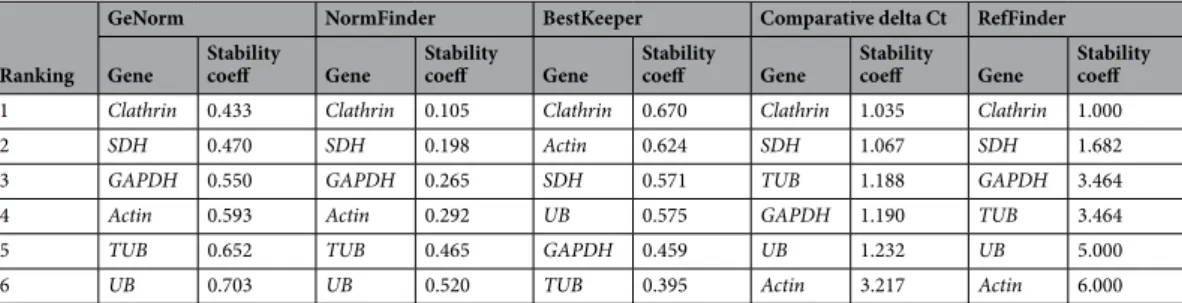 Table 1.  Ranking of candidate reference genes according to the five algorithms used.