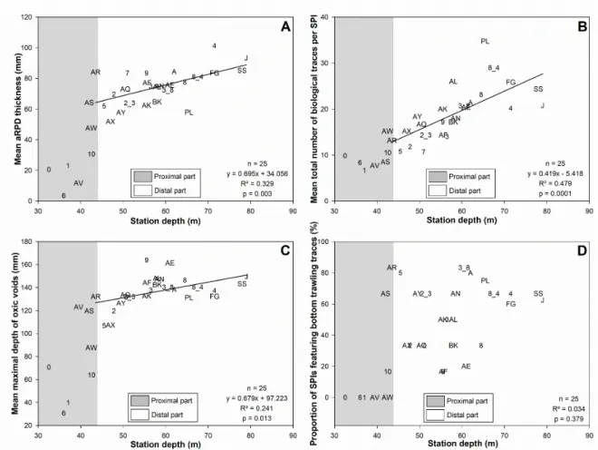 Figure 7. Relationships between station depth and mean main SPI characteristics: aRPD thickness (A), total number of  biological traces per SPI (B), maximal depth of oxic voids (C), and proportion of SPIs featuring bottom trawling traces  (D)