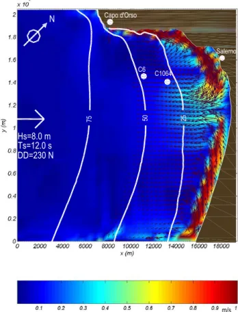 Fig. 6. Predicted 2DH current vector map.