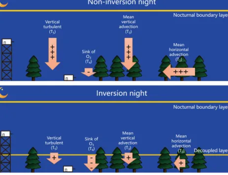 Figure 6. Schematic figure showing how vertical mixing, vertical advection, and horizontal advection influence ground-level O 3 concentra- concentra-tions differently on non-inversion nights and inversion nights at the SMEAR II station.