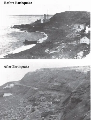 Fig. 8. Features interpreted to be the slumps that were responsible for the damaging tsunamis that occurred in Papua New Guinea in 1998 (from Tappin et al., 2003).
