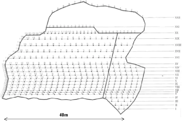 Fig. 5. Front view of the blasted round of volume n. 1. The Roman numbers indicates the various blasting lines which were blasted using a delay of 250 ms while the Arabic numbers indicate the microdelays used along each blasting line.
