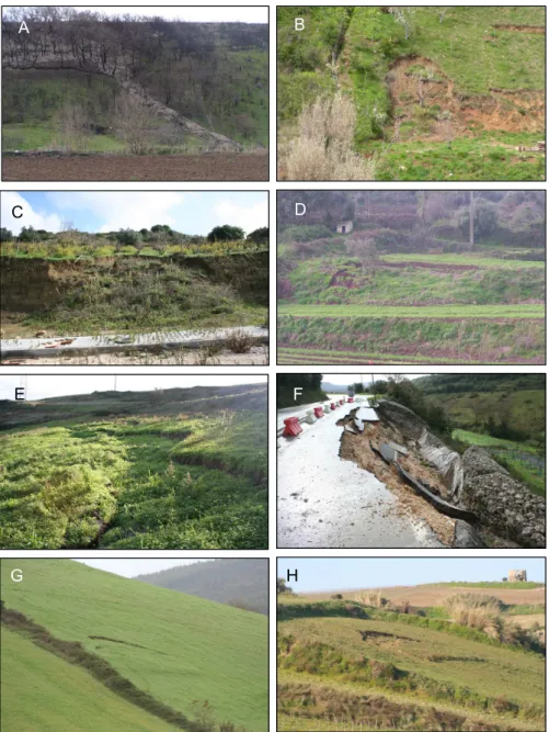 Fig. 7. Landslides triggered by rainfall in 2006 in the Lisbon Region. (A) debris flow occurred in Bucelas (20 March 2006); (B) and (C) shallow soil slips occurred near Arruda dos Vinhos (20 March 2006); (D) shallow rotational slide occurred near Loures (2