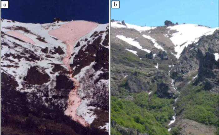 Fig. 3. Photographs of the studied avalanche track taken (a) in September 2002 a few days after the event and (b) in November 2005, when most of the dendroecological sampling was carried out.
