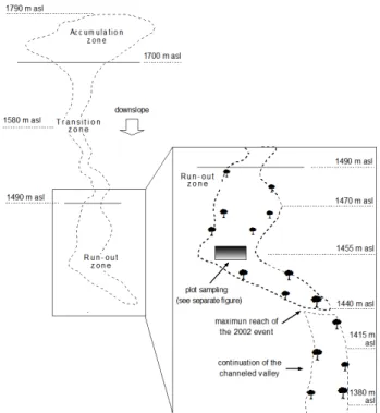 Fig. 4. Scheme of the studied avalanche track at Cerro Ventana.