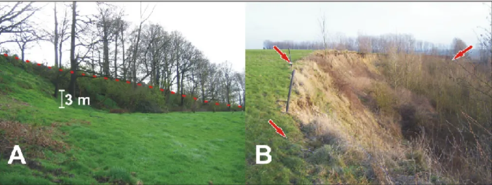 Fig. 3. Examples of main scarps. (A) View towards the SE of the landslide 5 main scarp (Fig