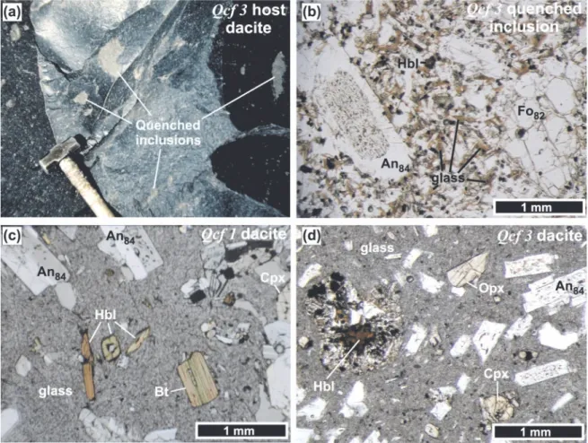 Fig. 3. Petrography of dacite and quenched basaltic inclusions in dacites forming the composite San Pedro lava flow