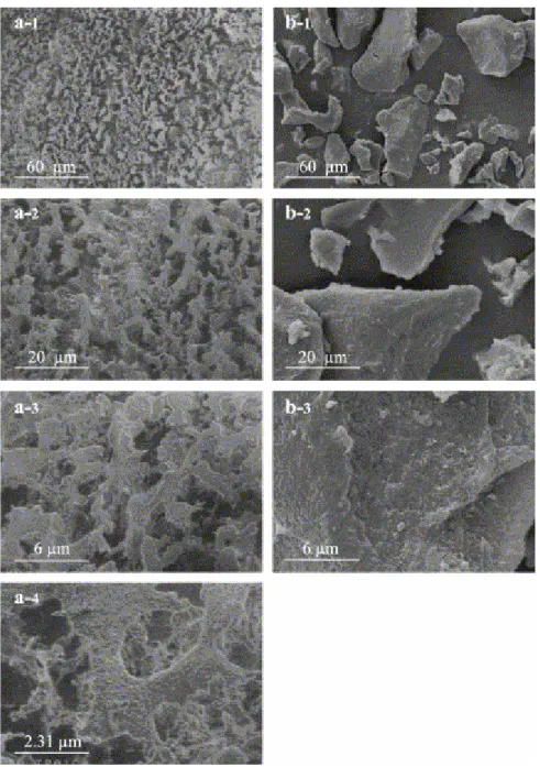 Fig. 3. Humic acid. (a-1 to a-4) Cryo-SEM micrographs; (b-1 to b-3) conventional SEM micrographs of  freeze-dried sample