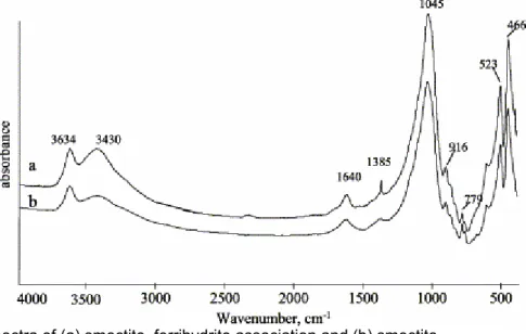 Fig. 4. FTIR spectra of (a) smectite–ferrihydrite association and (b) smectite. 
