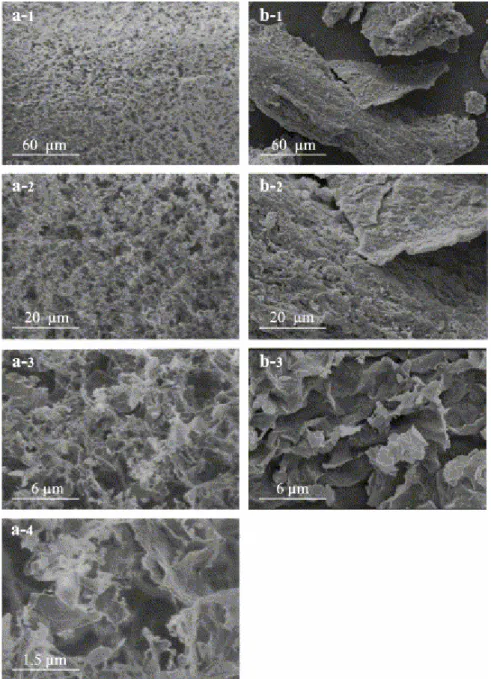 Fig. 5a recall strongly the scanning electron micrographs of sediments obtained from  a Na-montmorillonite suspension mixed with aged FeCl 3  or β-FeOOH and fixed by  supercritical drying (Ma and Pierre, 1999)