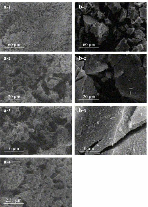 Fig. 7. Ferrihydrite–humic acid association. (a-1 to a-4) Cryo-SEM micrographs; (b-1 to b-3)  conventional SEM micrographs of freeze-dried sample