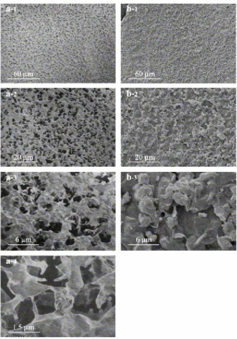 Fig. 1. Smectite. (a-1 to a-4) Cryo-SEM micrographs; (b-1 to b-3) conventional SEM micrographs of  freeze-dried sample