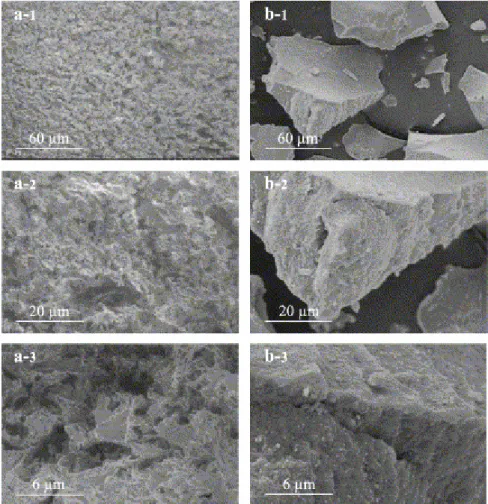 Fig. 2. Ferrihydrite. (a-1 to a-3) Cryo-SEM micrographs; (b-1 to b-3) conventional SEM micrographs of  freeze-dried sample