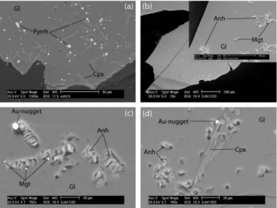 Fig. 3. Back-scattered electron (BSE) pictures of representative experimental charges