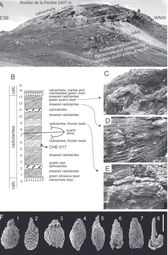Fig. 3: Radiolarites and microfossil content, locality “Rocher de la perdrix” (Lago Nero-Replatte thrust sheet)