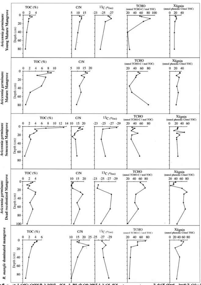 Fig. 2. Depth profiles from the different stages of the A. germinans mangrove swamps, i.e.,  young mature mangrove, mature mangrove, senescent mangrove, recolonized cemetery  mangrove, and from the R