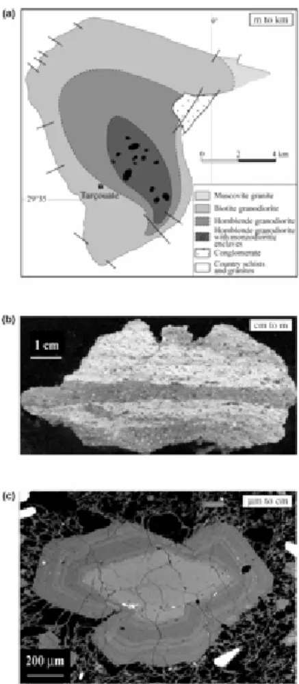 Fig. 1. Examples of chemical heterogeneities at various scales in silicic to intermediate  magmas