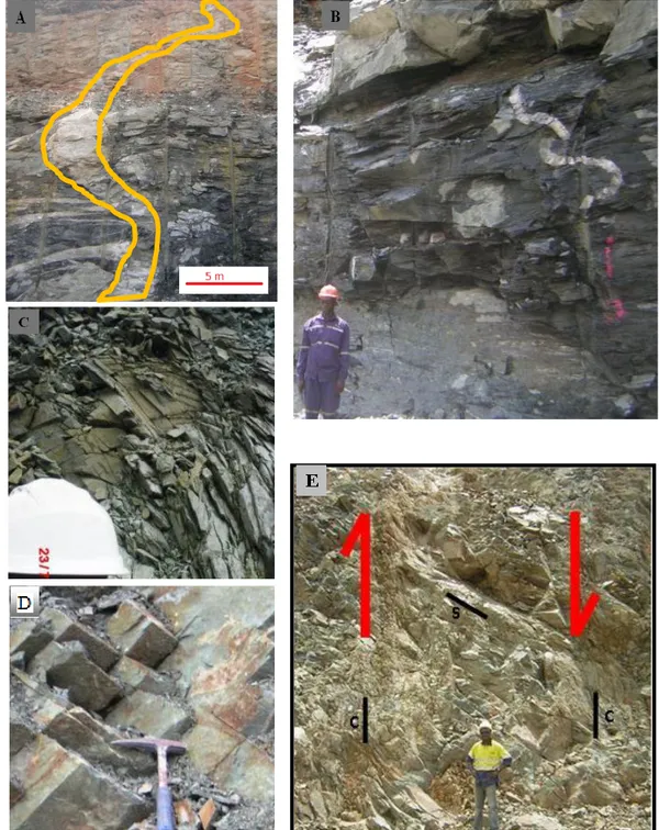 Figure 4: Macroscopic views of the folds, boudins and shearing in the Bonikro gold deposit