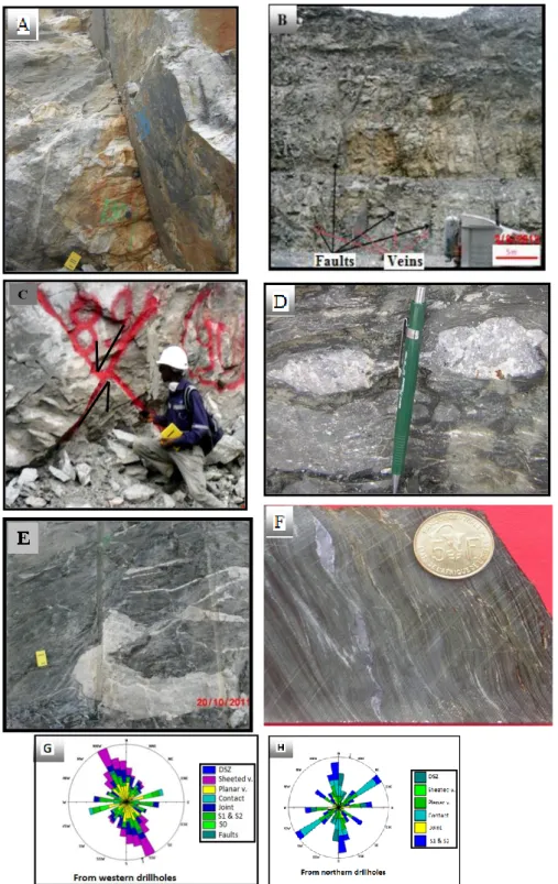 Figure 5: Description of the zones associated with the gold in the Bonikro deposit and the structures orientations