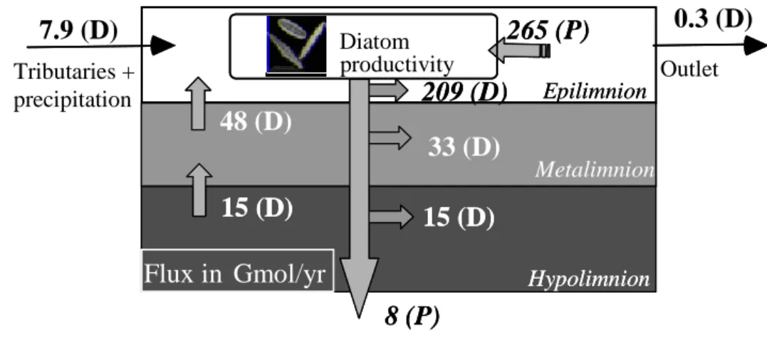 Fig. 3.  Annual cycle of silicon in Lake Malawi.