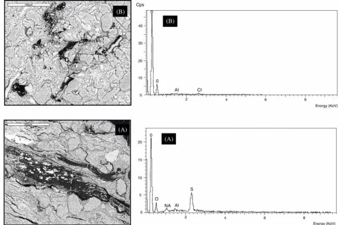 Fig. 4. SEM images of Senegal samples showing two OM morphological features with corresponding  EDS analyses: (A) thin laminated bands with sulphur enrichment; (B) dispersed OM without sulphur  presence
