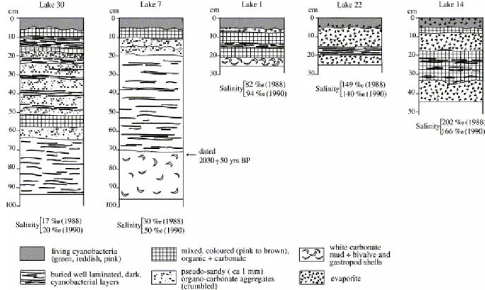 Fig. 4. Sedimentary profiles, lithology and salinity of lake water in five lakes from Christmas Island