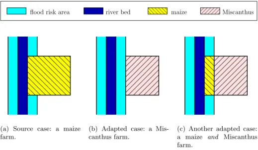 Fig. 1: Crop spatial allocation example.