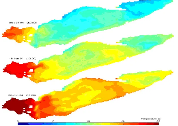 Fig. 4. Surface temperature in Lake Erie (3 time slices of the 1994 simulation).