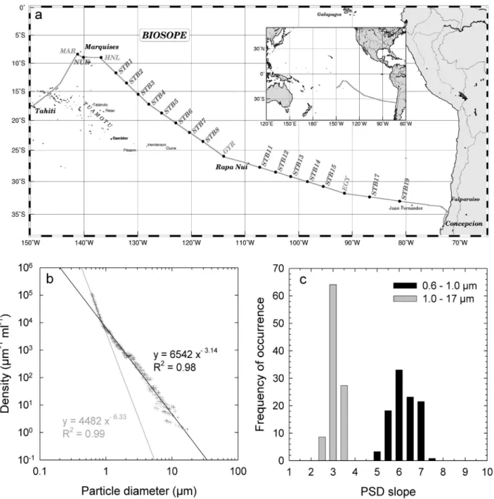 Figure 5. (a) Location of the stations visited during the Biogeochemistry and Optics South Pacific Experiment (BIOSOPE) conducted in the south tropical Pacific in November and December 2004