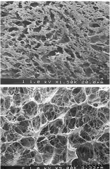Fig. 9  Cryo-SEM of surface macroaggregates. Top Organic matter (greyish surfaces) surrounds 4- to  13-µm pores (1,500×); bottom highly porous material contains polysaccharidic threads and 