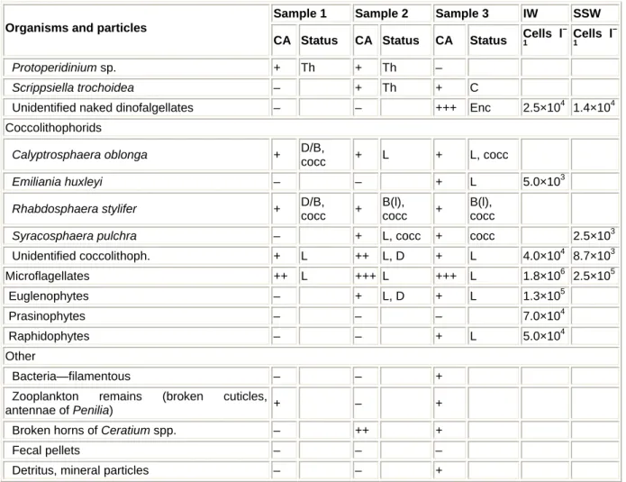 Table 1  List of organisms and particles found in three different surface macroaggregates, collected in  front of Marine Biology Station, Piran (June 2000, Adriatic Sea)