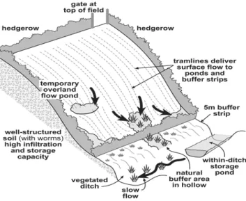 Fig. 2.  Potential for integrated runoff control to reduce flood risk, pollution and erosion