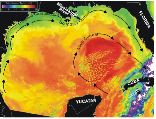 Fig. 1. Sea surfae temperature image of the Gulf of Mexico Loop and Boundary currents