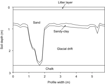 Fig. 1. An example of the soil profile beneath the forest at Thetford, UK (after Roberts, 1976b) illustrating a sandy incursion reaching the geological chalk.