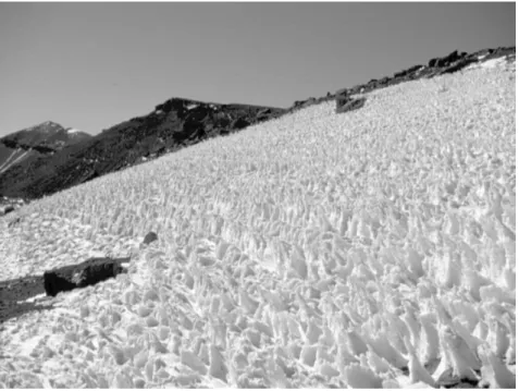 Fig. 2. Penitentes in the MGoun Range at 3600 m. The penitentes are south-oriented and have a size of up to 70 cm