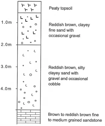 Fig. 2. Detailed sedimentary profile at the borehole identified in Fig.
